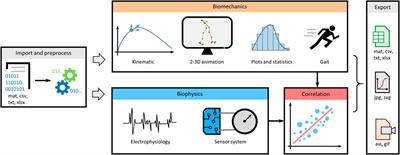 Integrated software for multi-dimensional analysis of motion using tracking, electrophysiology, and sensor signals